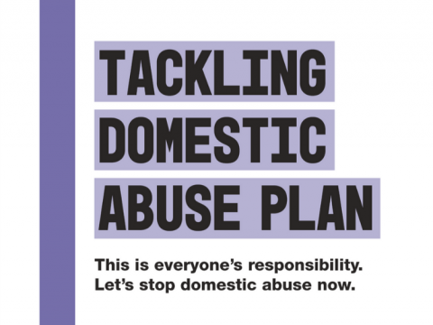 Front cover of the 'Tackling Domestic Abuse Plan' with strapline 'This is everyone's responsibility. Let's stop domestic abuse now.